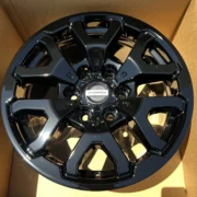 17" Ford F-150 Raptor Bronco OEM rims - Image 2